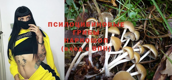спиды Козловка