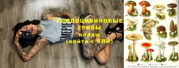 спиды Козловка