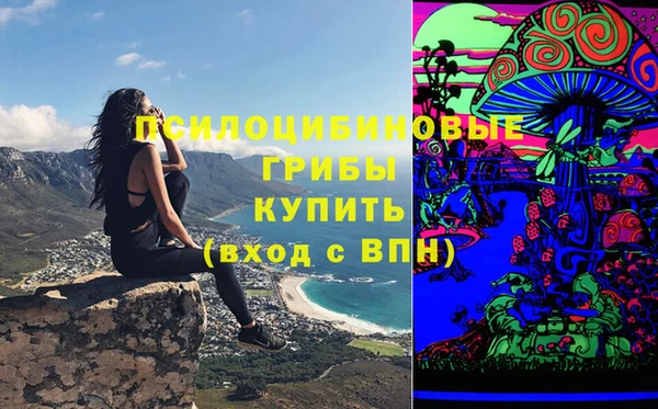 спиды Козловка