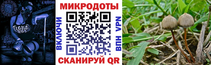 Купить  Велиж  Галлюциногенные грибы ЛСД 